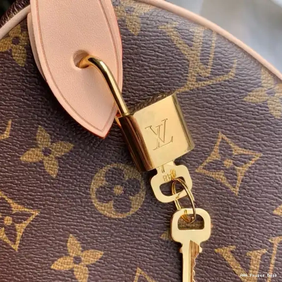 AAA Pruses Bags Louis Vuitton SPEEDY 30 0629